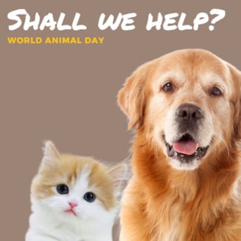 Dia Mundial do Animal